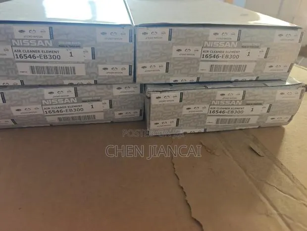NISSAN Car Air Filter · Photo 1