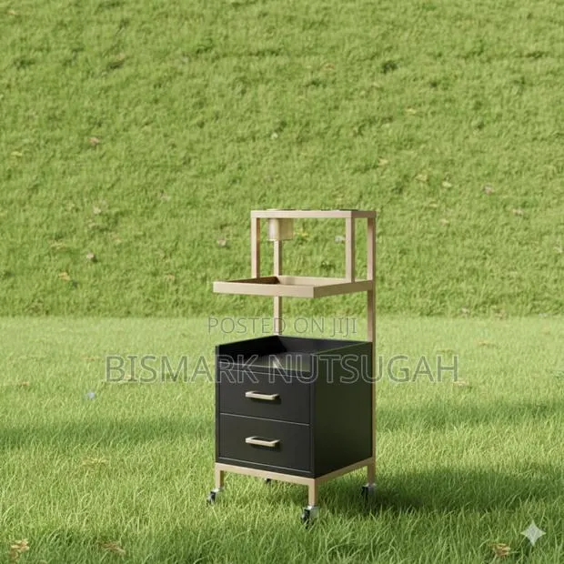 Salon Trolley for Sale · Photo 3