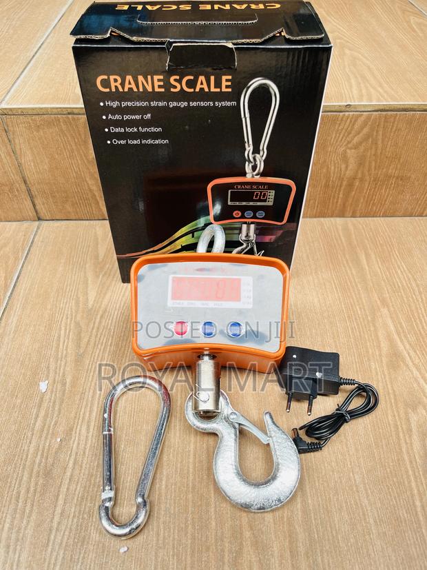 1000kg Crane Scale · Photo 4