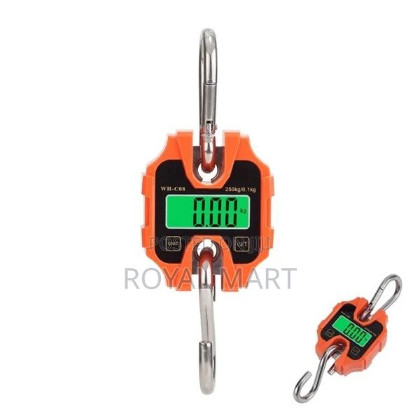 250kg Crane Scale · Photo 1