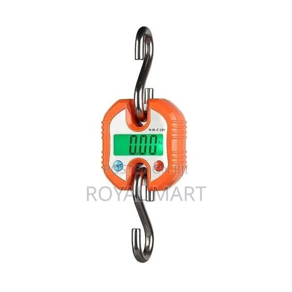 250kg Crane Scale · Photo 2