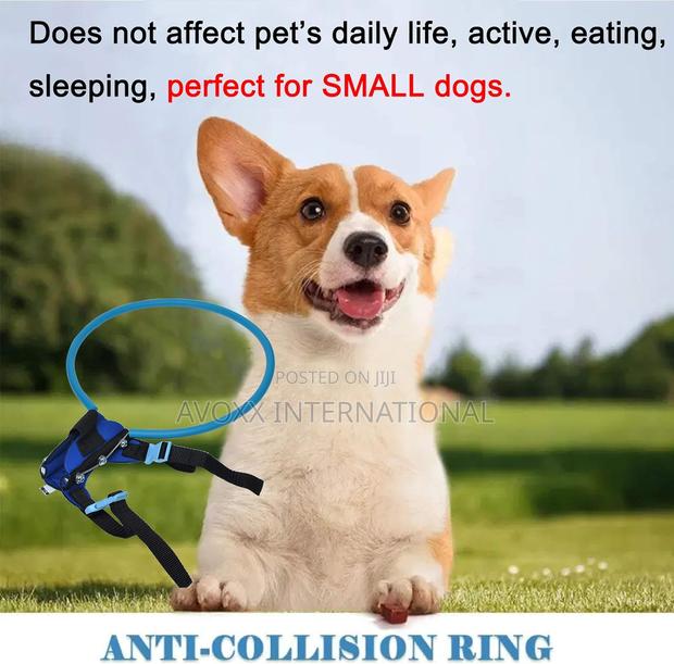 Pet Anti-Collision Ring Pet Safe Halo Harness for Blind Dogs · Photo 4