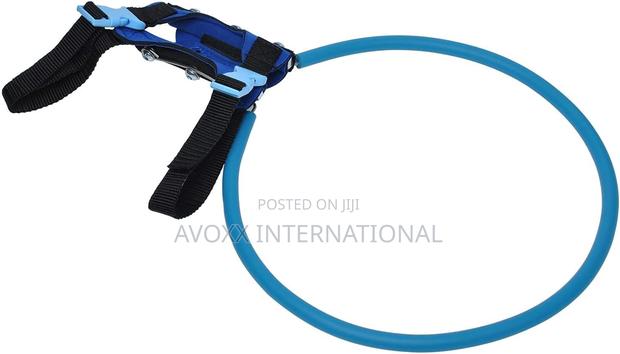 Pet Anti-Collision Ring Pet Safe Halo Harness for Blind Dogs · Photo 2