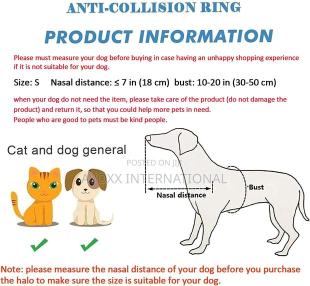 Pet Anti-Collision Ring Pet Safe Halo Harness for Blind Dogs · Photo 7