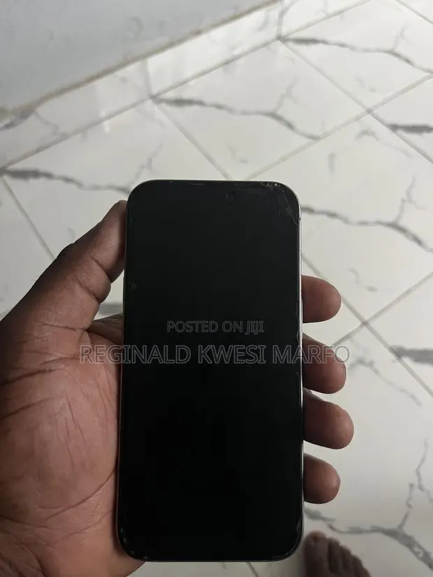 Apple iPhone 15 Pro 256 GB Silver · Photo 1