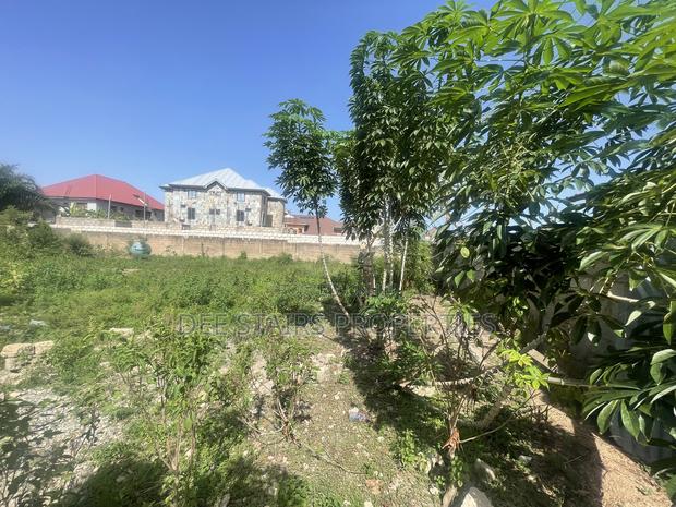 One Half Plot of Titled Plot for Land 4 Sale at Tse Ado · Photo 1