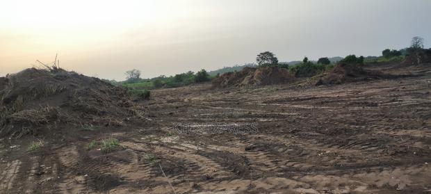 Land at Mankessim for Sale · Photo 4