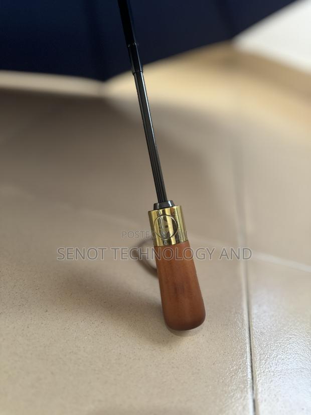 Foldable Umbrella · Photo 2