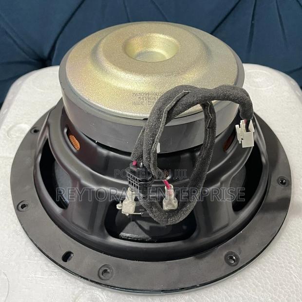 Bose Acoustimass 300 Bass Module 700 Speaker · Photo 7