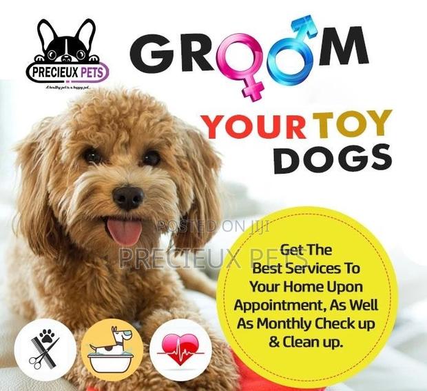 Precieux Pets Grooming Service 001 · Photo 1