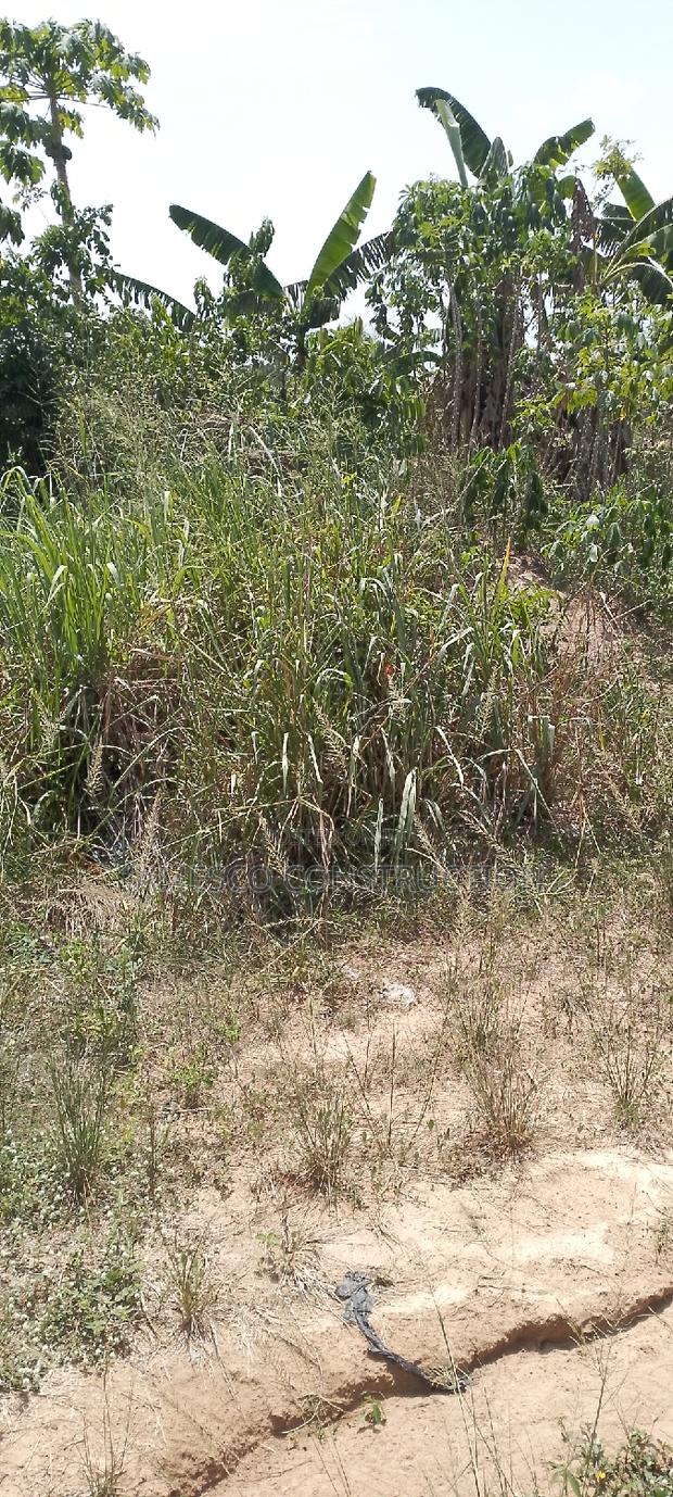 Residential Plot of Land for Sale Value Available · Photo 4