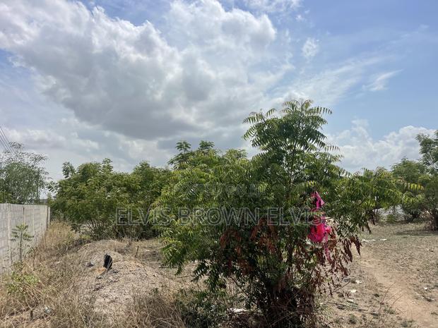 Do You Want to Live at West Trasacco in Future Call 4 Land · Photo 2