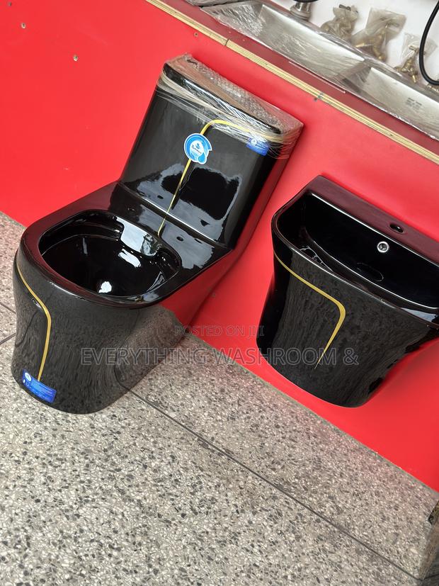 Black and Gold Wc Wall Hung Basin Set_masterbed Wc Set · Photo 8