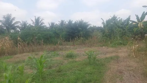 1 Plot of Land for Sale at Atonsu Fabi · Photo 1