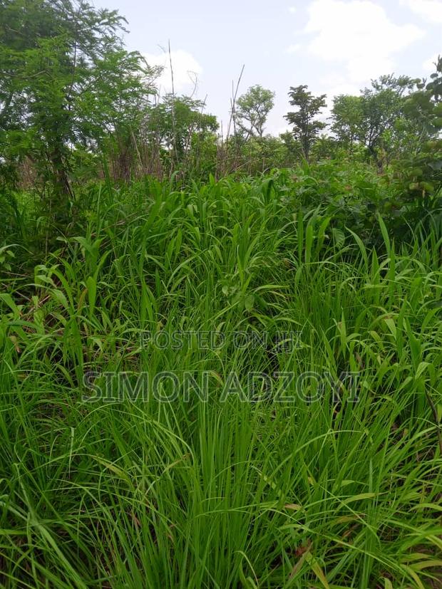 4000 Acres of Farm Land for Sale · Photo 2