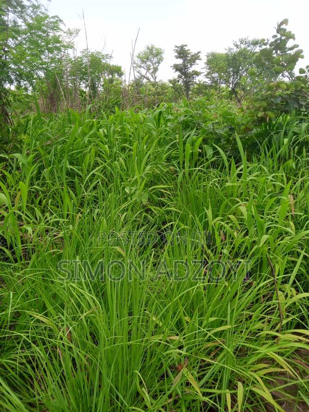 4000 Acres of Farm Land for Sale · Photo 3