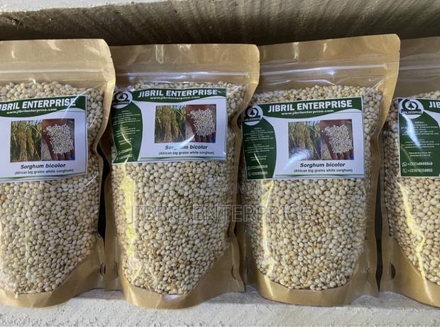 African Big White Sorghum, Non Hybrid, Late Mature Variety · Photo 1