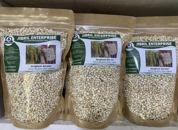 African Big White Sorghum, Non Hybrid, Late Mature Variety · Photo 2