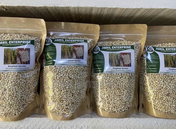 African Big White Sorghum, Non Hybrid, Late Mature Variety · Photo 3