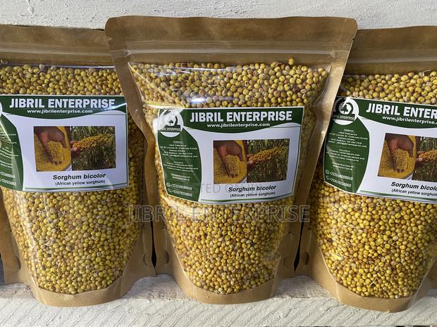 African Yellow Sorghum, Non Hybrid, Medium Yield Variety · Photo 1