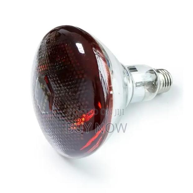 Heater Brooder Bulb · Photo 4