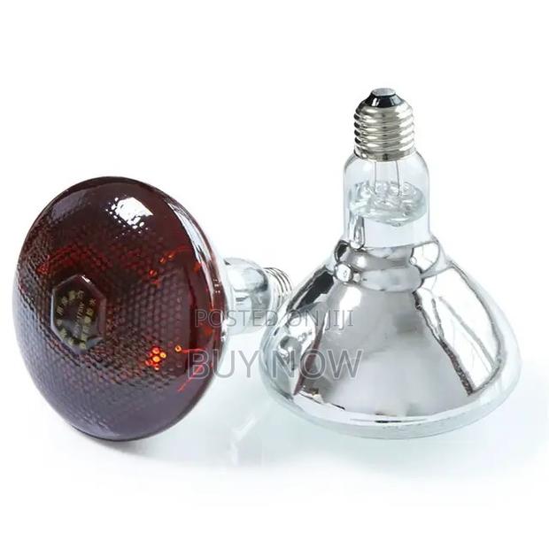 Heater Brooder Bulb · Photo 3
