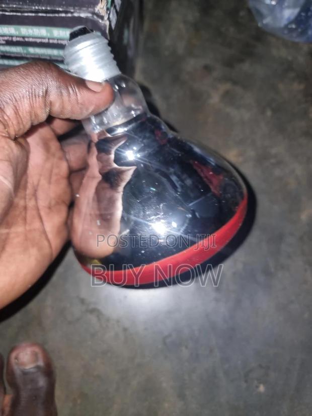Heater Brooder Bulb · Photo 2