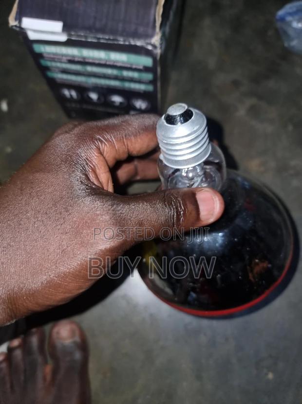 Heater Brooder Bulb · Photo 5