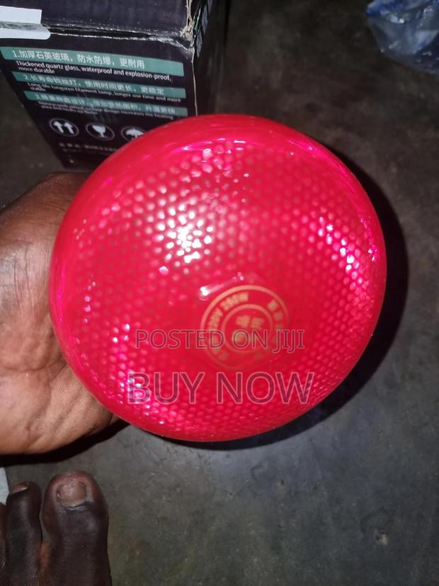 Heater Brooder Bulb · Photo 1
