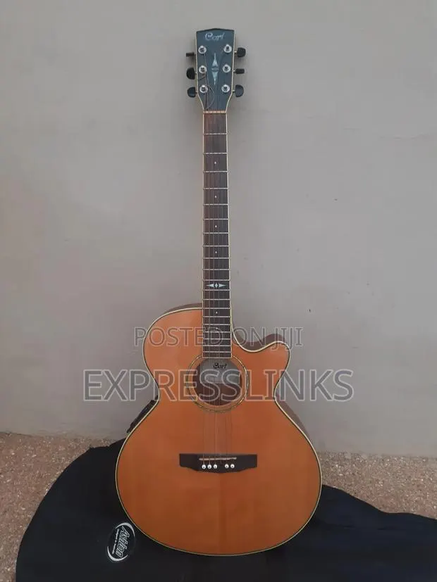 Cort Semi-Acoustic Guitar · Photo 1