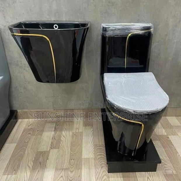 Black and Gold Water Closet With Hanging Basin · Photo 1