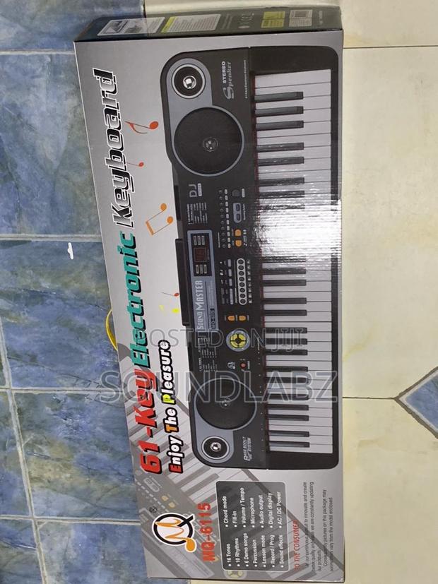 Large Electronic Organ Entry Level 61-Keys Piano Keyboard · Photo 1