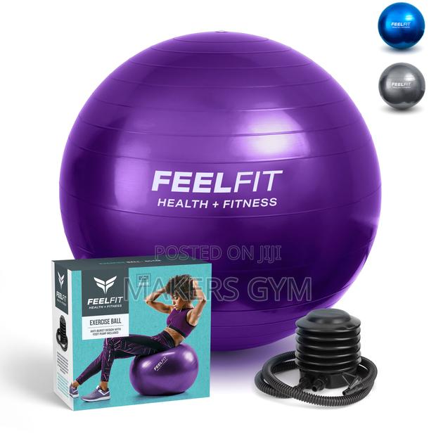 Gym Ball Swiss Pilates WITH Stability Pump Carry Bag 65cm · Photo 1
