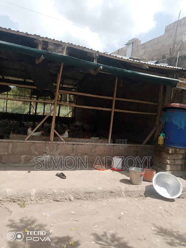 9 Plot Of Land And Poultry Farm For Sale · Photo 5