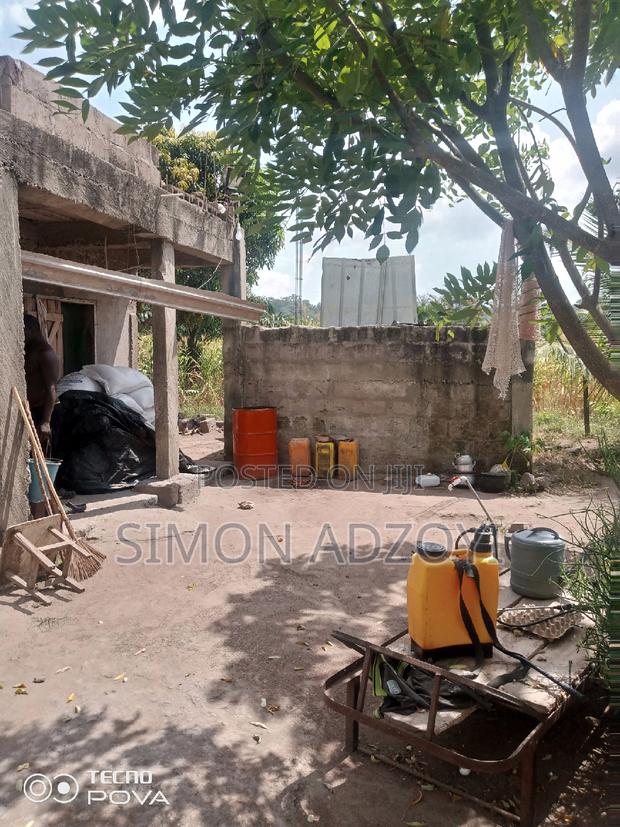 9 Plot Of Land And Poultry Farm For Sale · Photo 6