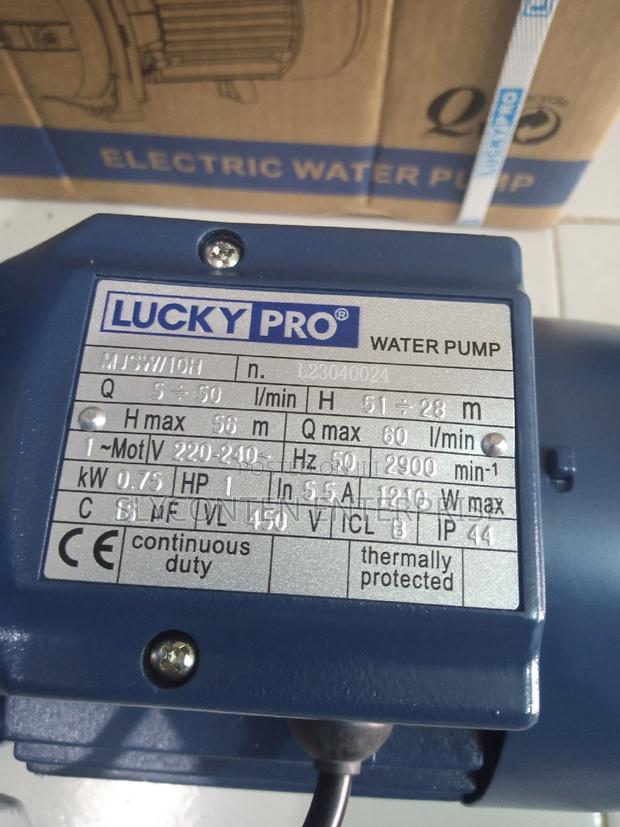Lucky Pro 1.0hp Cast Complete Automatic Water Pump · Photo 3