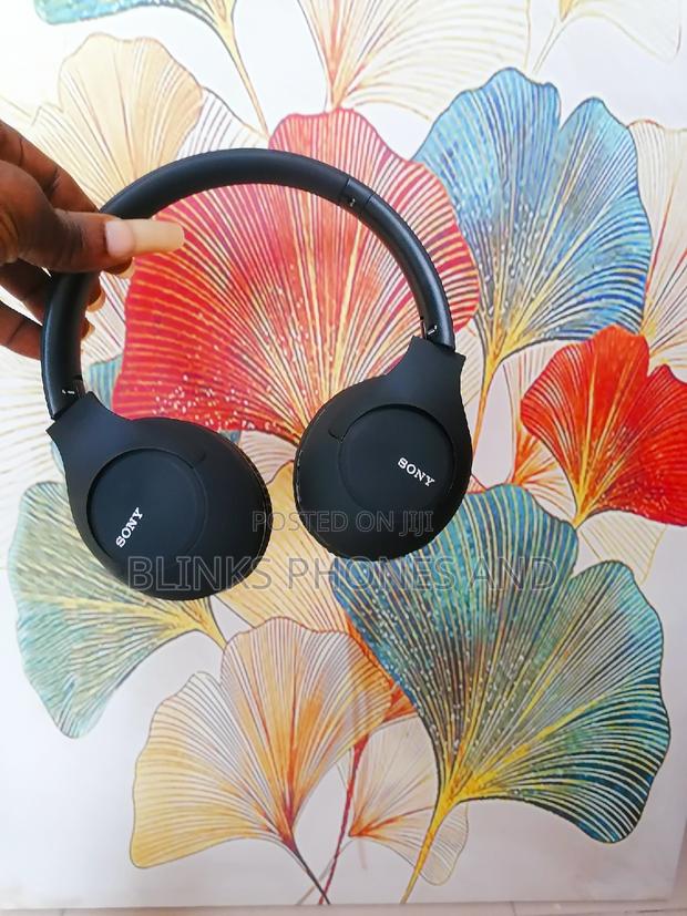 Sony Wireless 900 · Photo 1