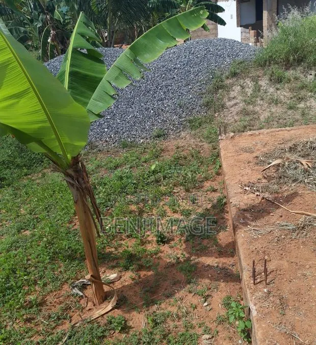 Land for Rent · Photo 2