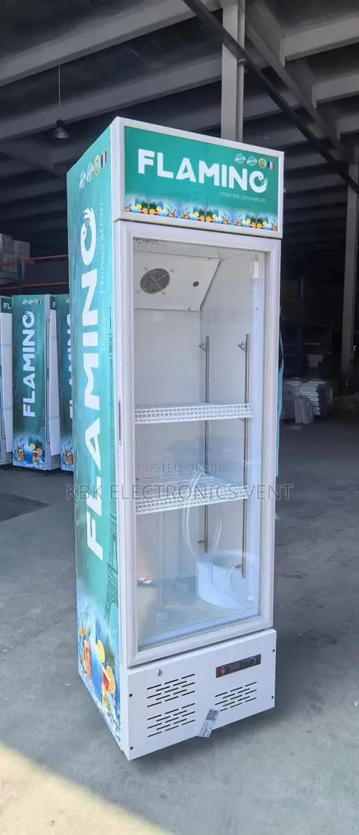 Flamino 300Liter Display Refrigerator · Photo 1