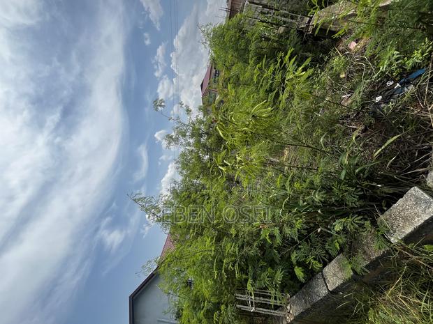 Land for Sale · Photo 2