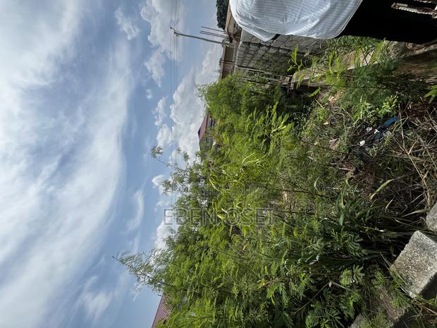 Land for Sale · Photo 3