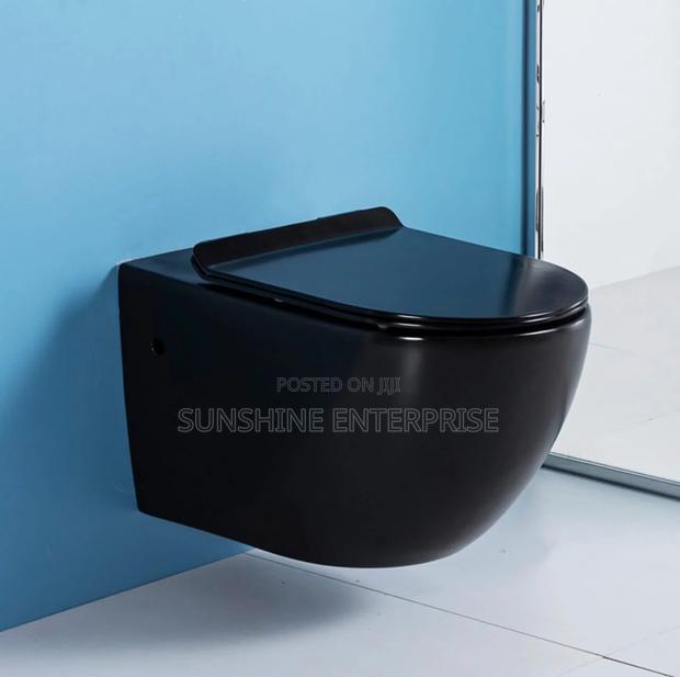 Black Concealed Water Closet · Photo 1