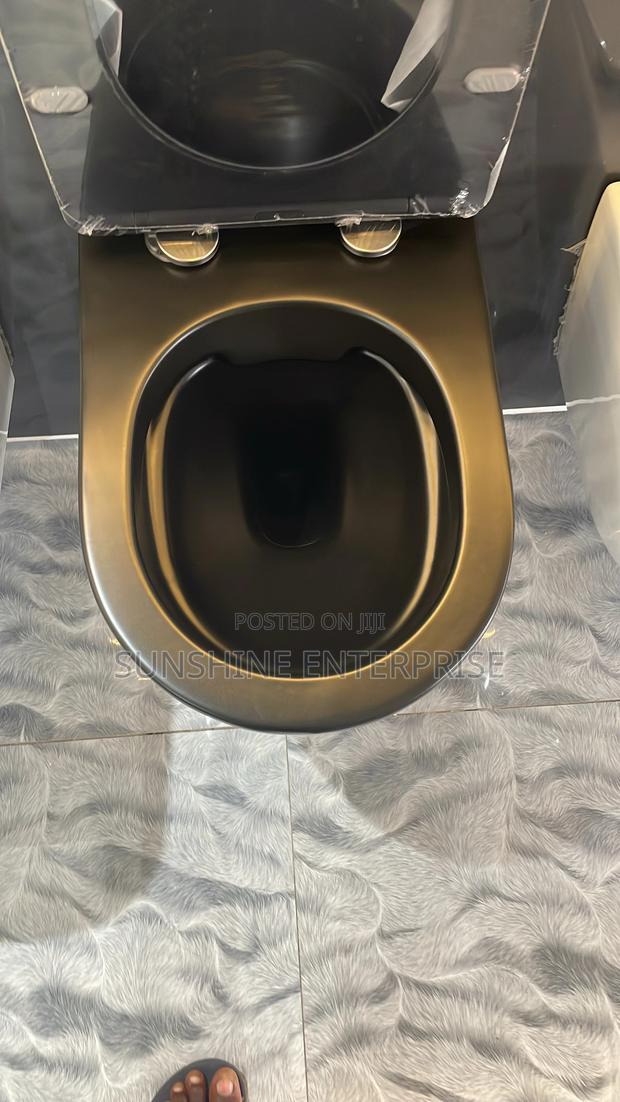 Black Concealed Water Closet · Photo 2
