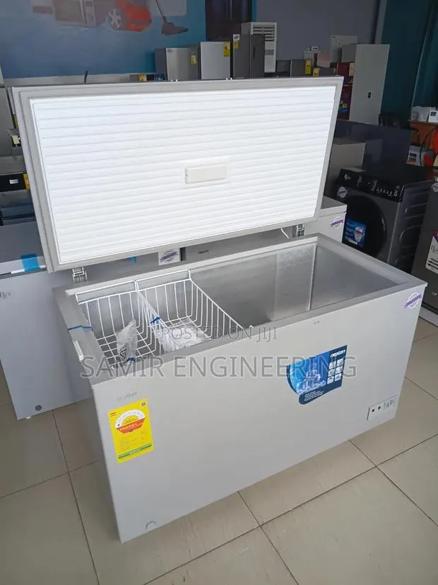 The Bulk Storage Giant: Nexon 400L Silver Deep Freezer · Photo 1