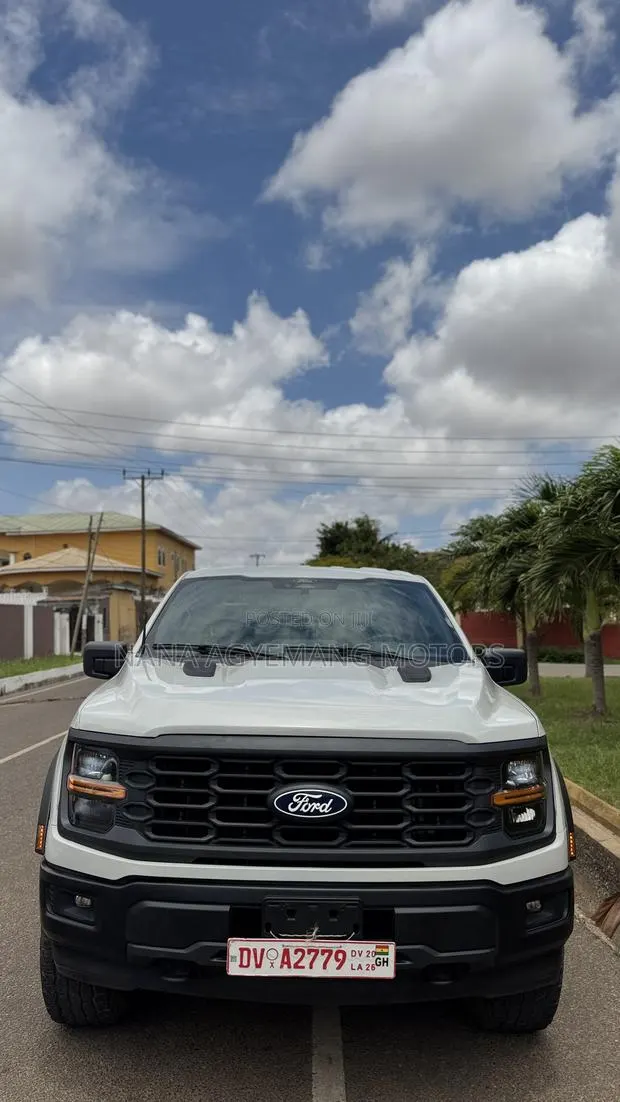 Ford F-150 STX 4WD SuperCab 6.5' Box 2025 Silver · Photo 1