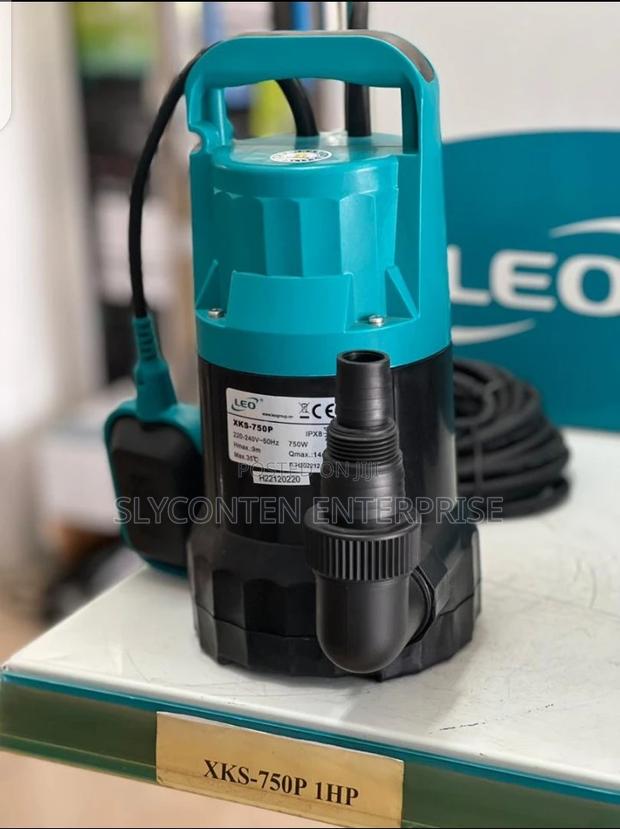 Leo 1hp Submersible Water Pump · Photo 2