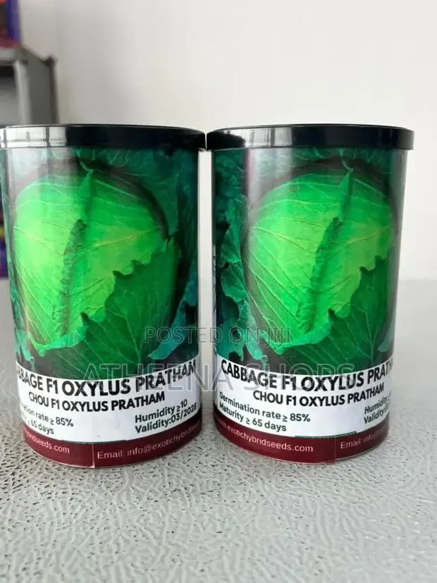 Oxylus Cabbage Seeds F1 (50grams) · Photo 2