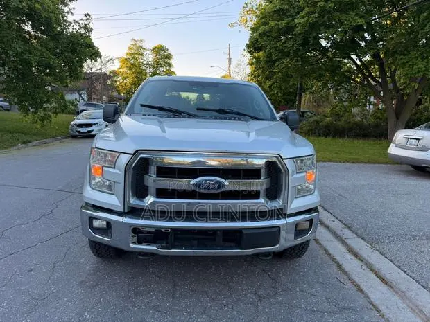 Ford F-150 2016 Silver · Photo 1