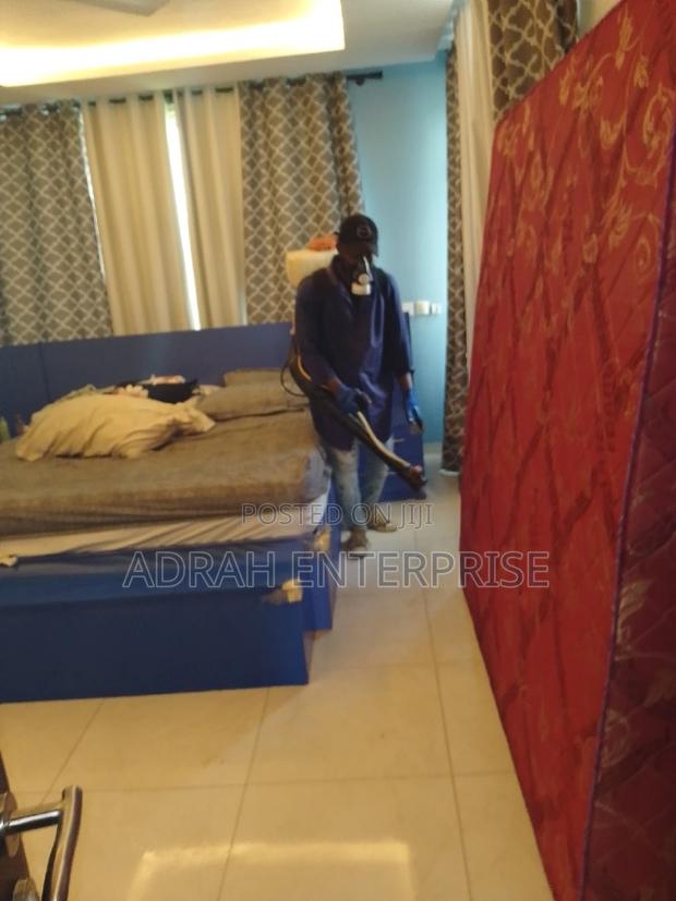Bedbugs Fumigation Service · Photo 1