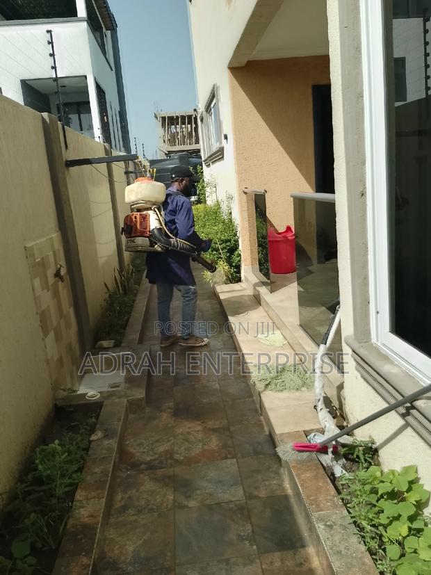 Bedbugs Fumigation Service · Photo 3